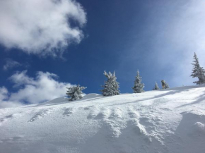Appartement 4You Schladming